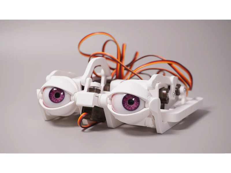 Eye Mechanism 製品画像