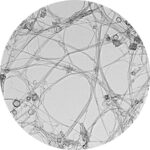 Boron Nitride Nanotubes