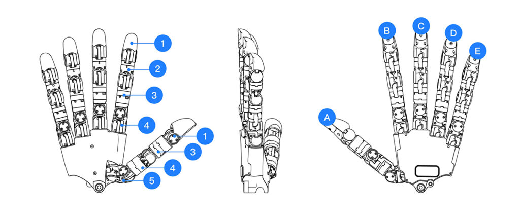 Wuji Hand 2 Structure Diagram