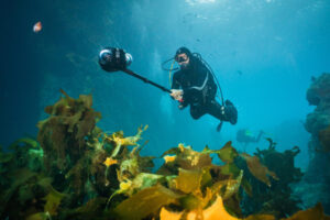 Boxfish 360