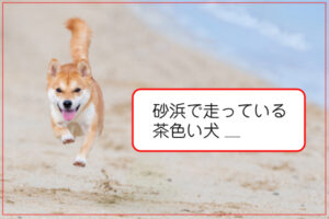 画像キャプション生成