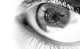 VeriEye SDK
