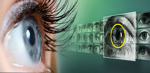 Neurotechnology VeriEye SDK