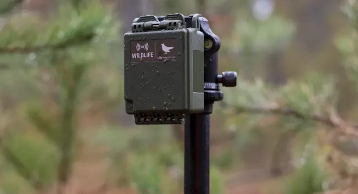 Song Meter Micro 2 製品画像