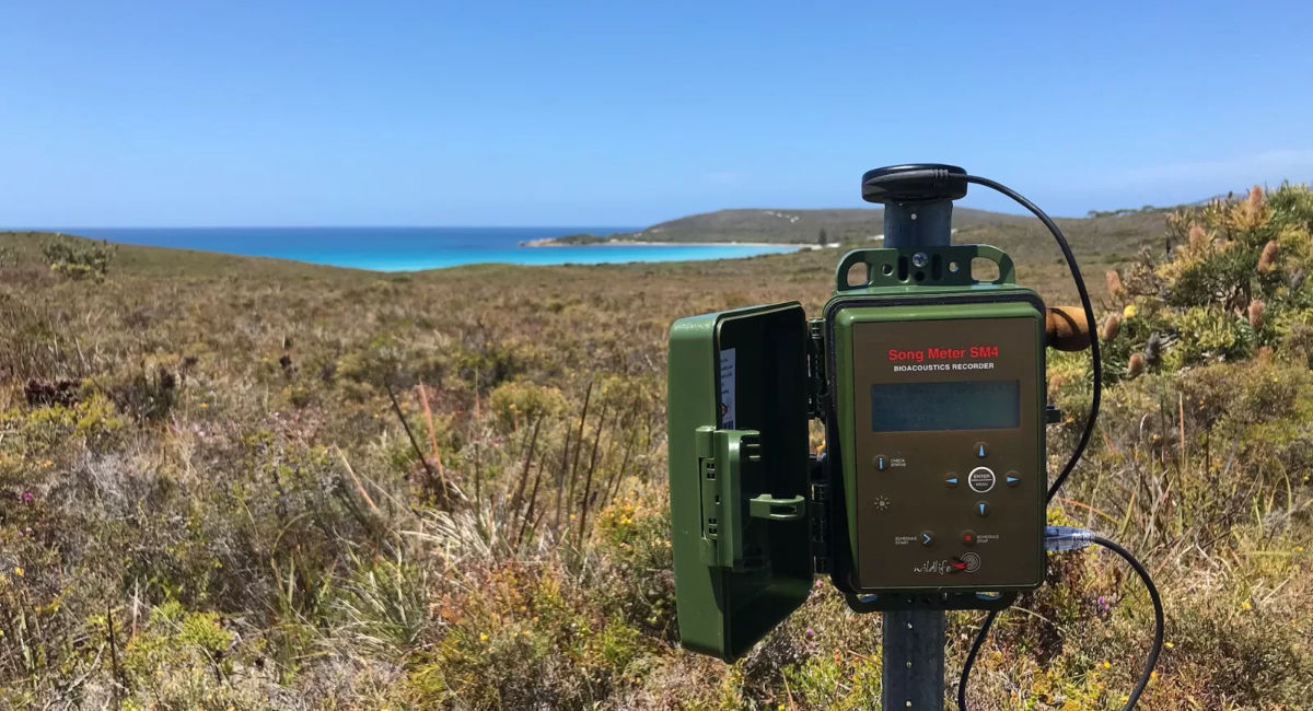 SONG Meter SM4 製品画像