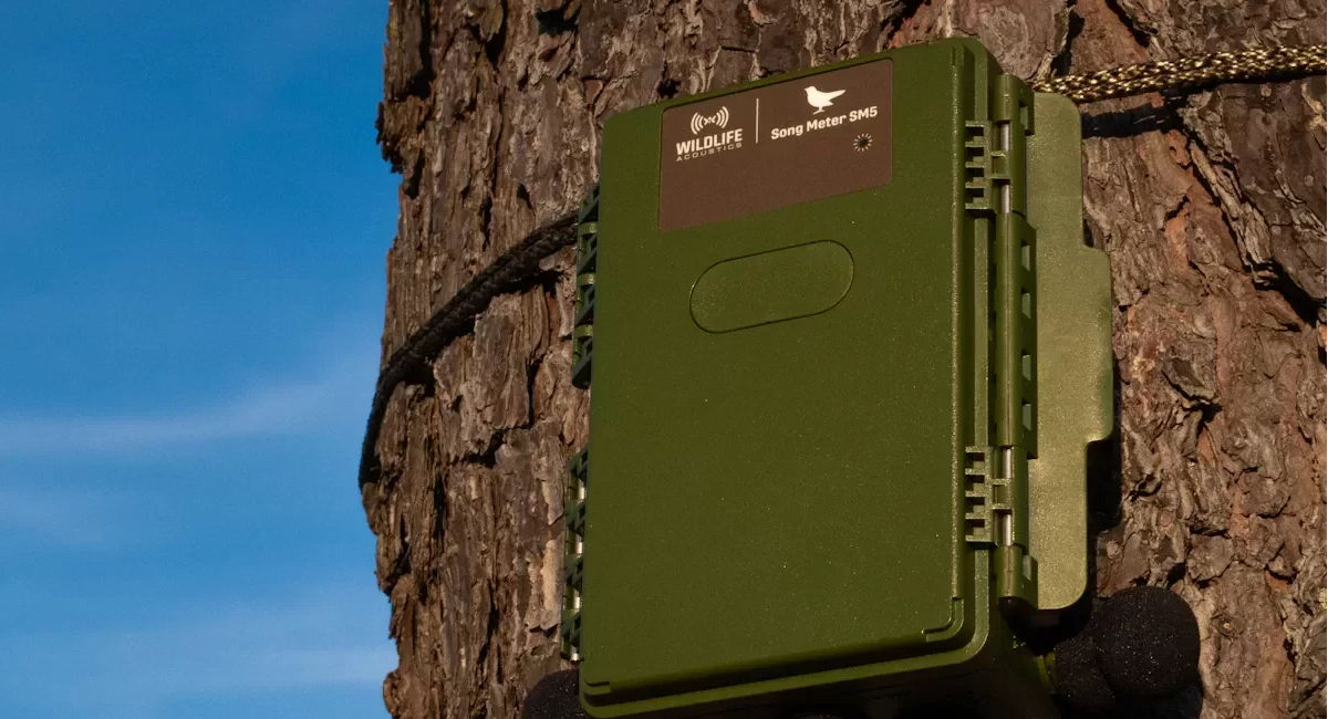 SONG Meter SM5 製品画像