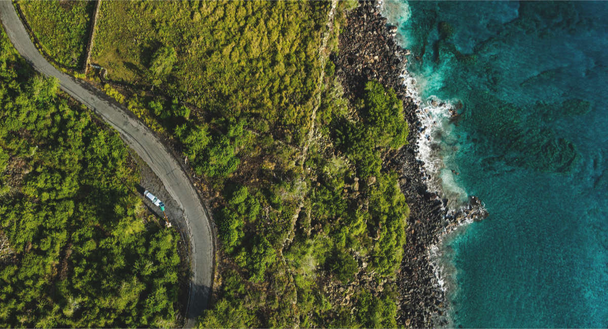 音で探る生物多様性 海と森林イメージ画像