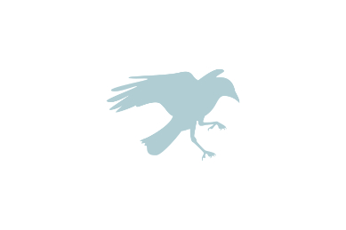 鳥類調査
