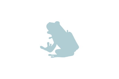 カエル・両生類調査
