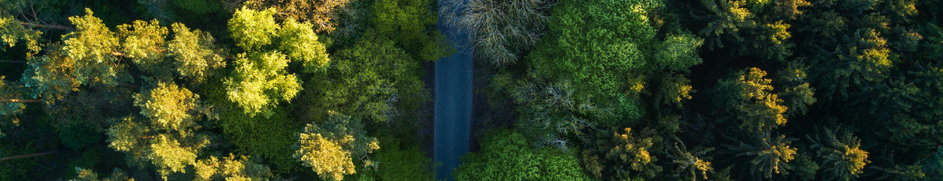 wildlife achousticイメージ画像