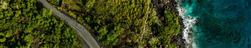 wildlife achousticイメージ画像