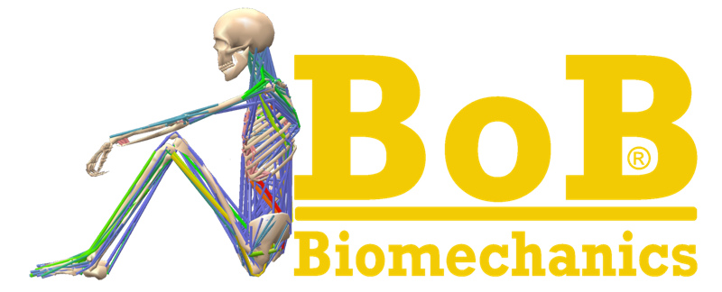 画像:BoB (Biomechanics of Bodies) | 筋骨格モデル バイオメカニカル モデリング