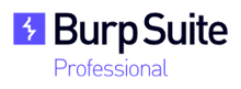 burpsuite professional