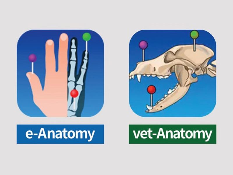 画像:e-Anatomy / vet-Anatomy | 放射線画像 データベース