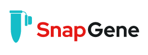 画像:SnapGene | 分子生物学 遺伝子研究 計画 可視化 ソフトウェア