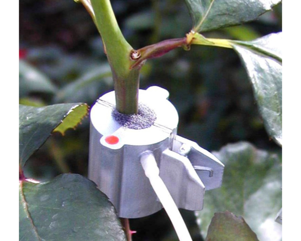 画像:Sap Flow Sensors SF-4T / SF-5T | 果実 花の葉柄 細い茎 樹液流 計測用センサー