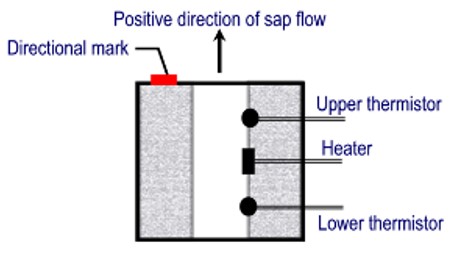 Sap Flow Sensors SF-4T / SF-5T | 果実 花の葉柄 細い茎 樹液流 計測用センサー