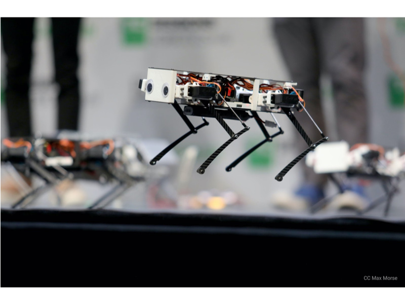 Pupper Robot | プログラム可能 研究用 小型 四足歩行 ロボット