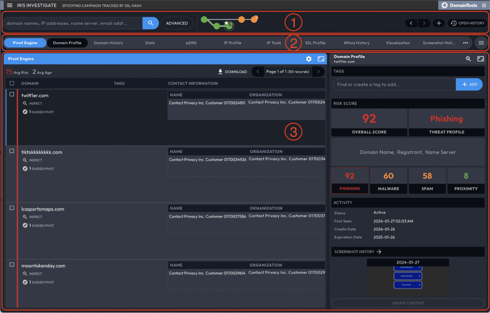 DomainTools Iris Investigate | ドメイン調査ツール サイバー攻撃 脅威の可視化