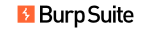 Burp Suite