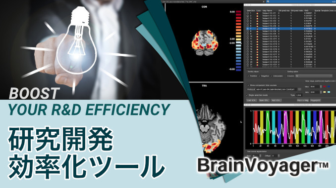 研究開発効率化ツール BrainVoyager | 脳科学をスピードアップ!