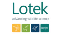 Lotek