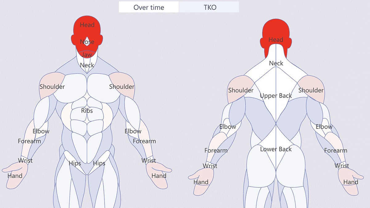 OKVIZ Synoptic Panel