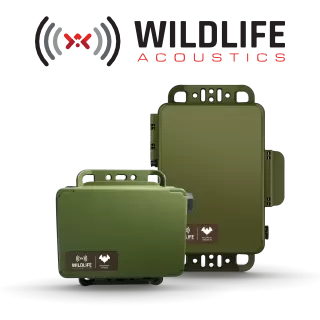 Song Meter Bat Recorders