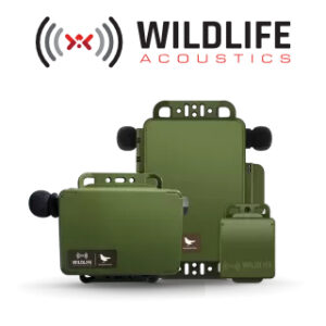 Song Meter Bird Recorders