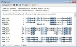 Align Multiple Sequencers