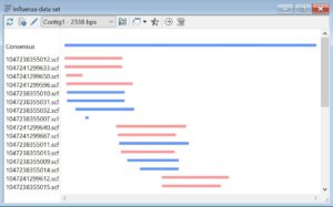 Sequence Assembly