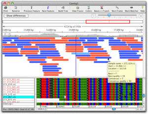 CodonCode Aligner