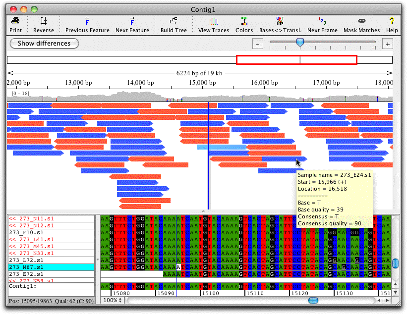 CodonCode Aligner
