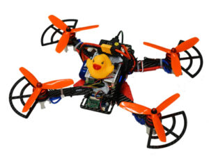 Duckietown