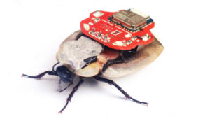 The RoboRoach Backpack