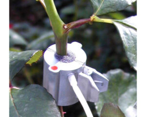 Sap Flow Sensors SF-4T / SF-5T