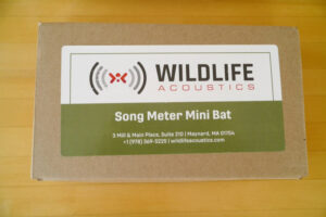 Song Meter Mini Bat