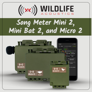 SongMeter 最新モデル テガカリ記事