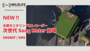 次世代Song Meter SM5 / SM5BAT リリース画像