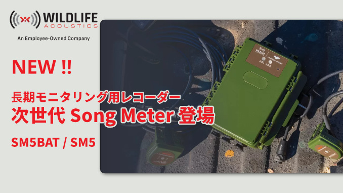 次世代Song Meter SM5 / SM5BAT リリース画像