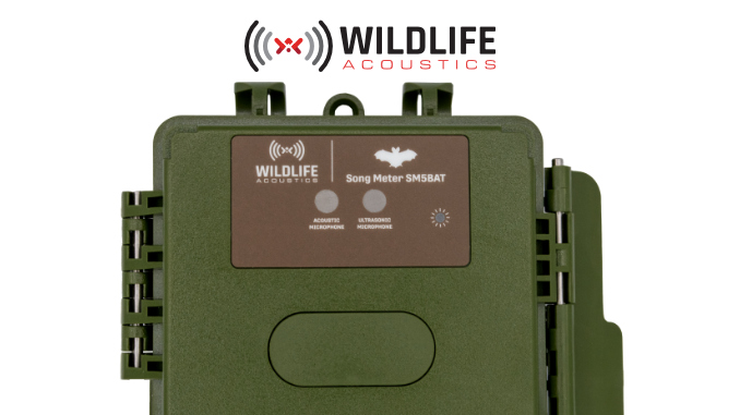 Song Meter Bat Recorders (SM5BAT）