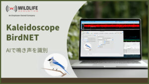 Kaleidscope BirdNET AIで鳴き声を識別