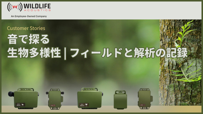 音で探る生物多様性｜フィールドと解析の記録