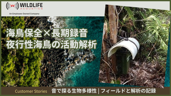 【事例2】絶滅危惧海鳥を守るための長期音響モニタリング