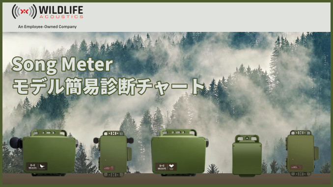 Song Meter モデル簡易診断チャート